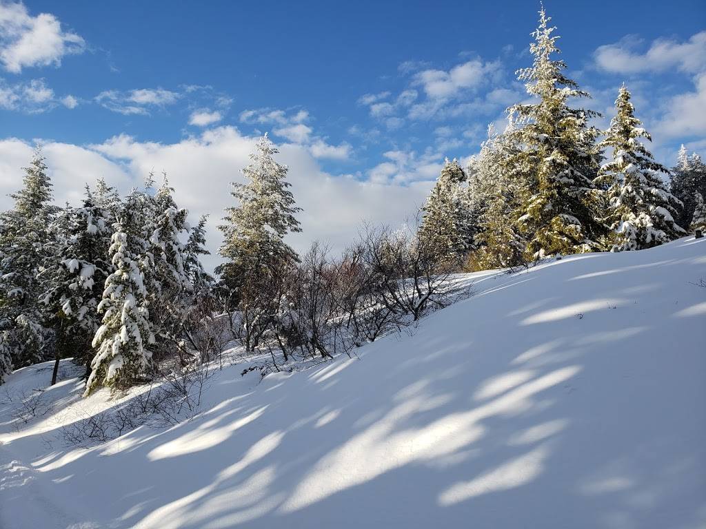 Five Mile Gulch #2 Trailhead | Shaw Mountain Rd, Boise, ID 83701, USA | Phone: (208) 373-4100