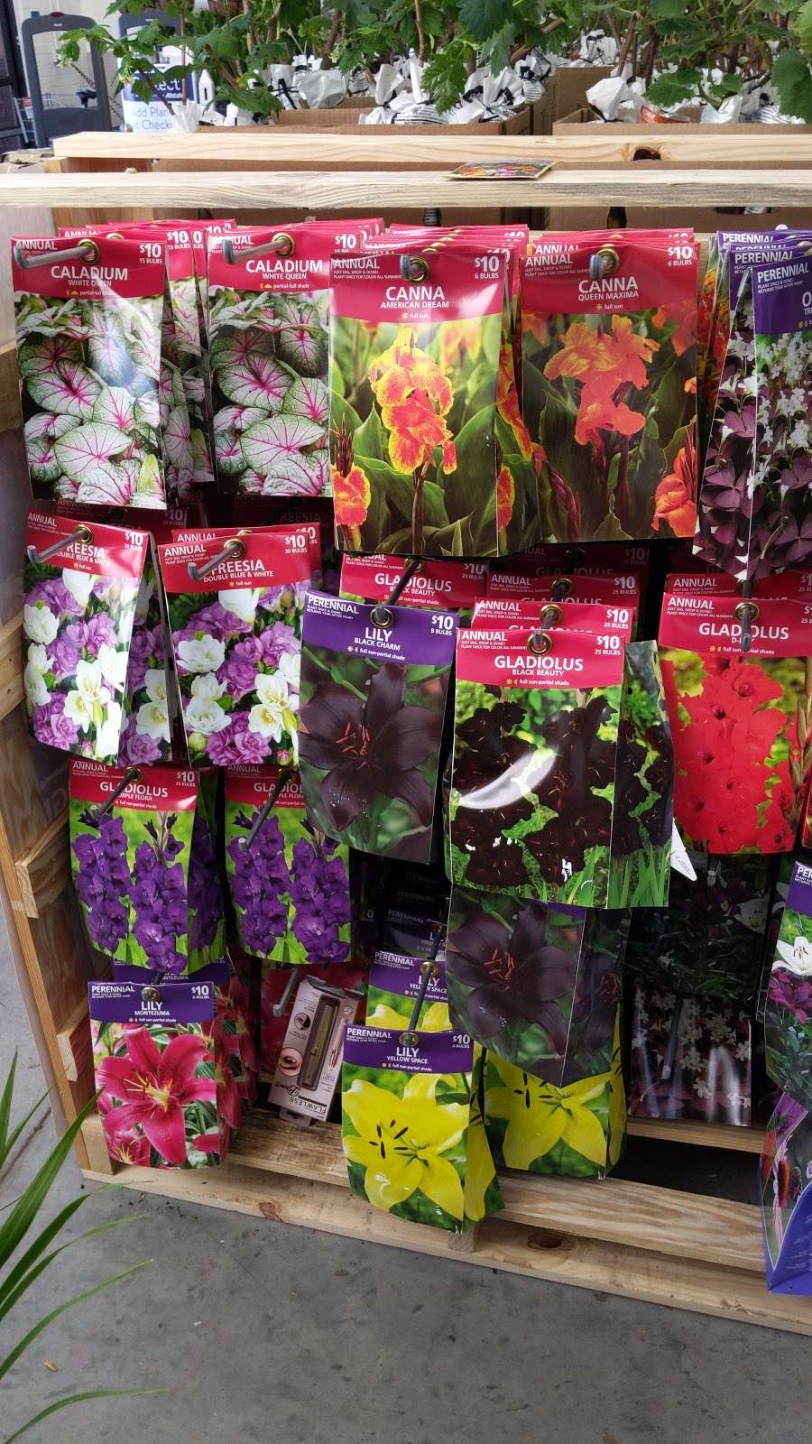 Walmart Garden Center 4821 Old York Rd, Rock Hill, SC 29732 Hours