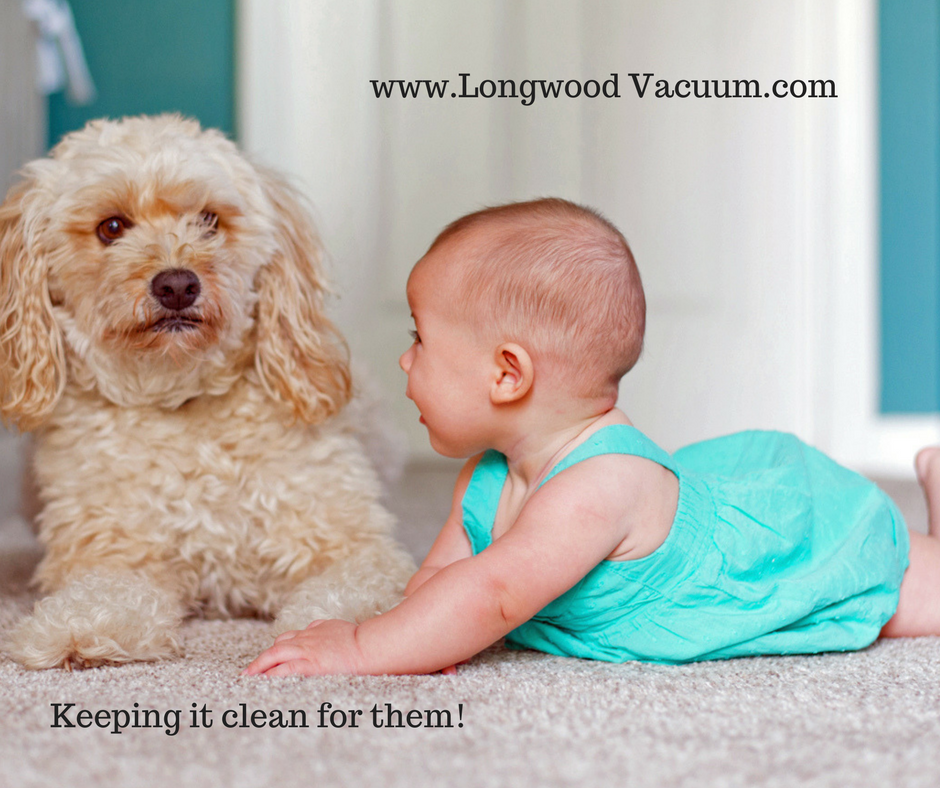 Longwood Vacuum Cleaner | 2628 W State Rd 434, Longwood, FL 32779 | Phone: (407) 682-6605