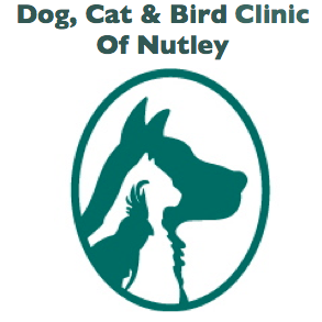 Dog Cat & Bird Clinic of Nutley | 324 Passaic Ave, Nutley, NJ 07110, USA | Phone: (973) 661-0441