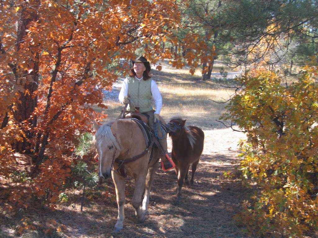 EquesTraining | 11063 Sheffield Ct, Parker, CO 80134, USA | Phone: (720) 785-0980