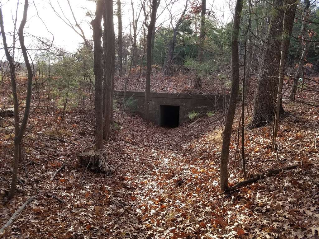 Little Chauncy Pond Trail (Tunnel) | Talbot Rd, Northborough, MA 01532, USA