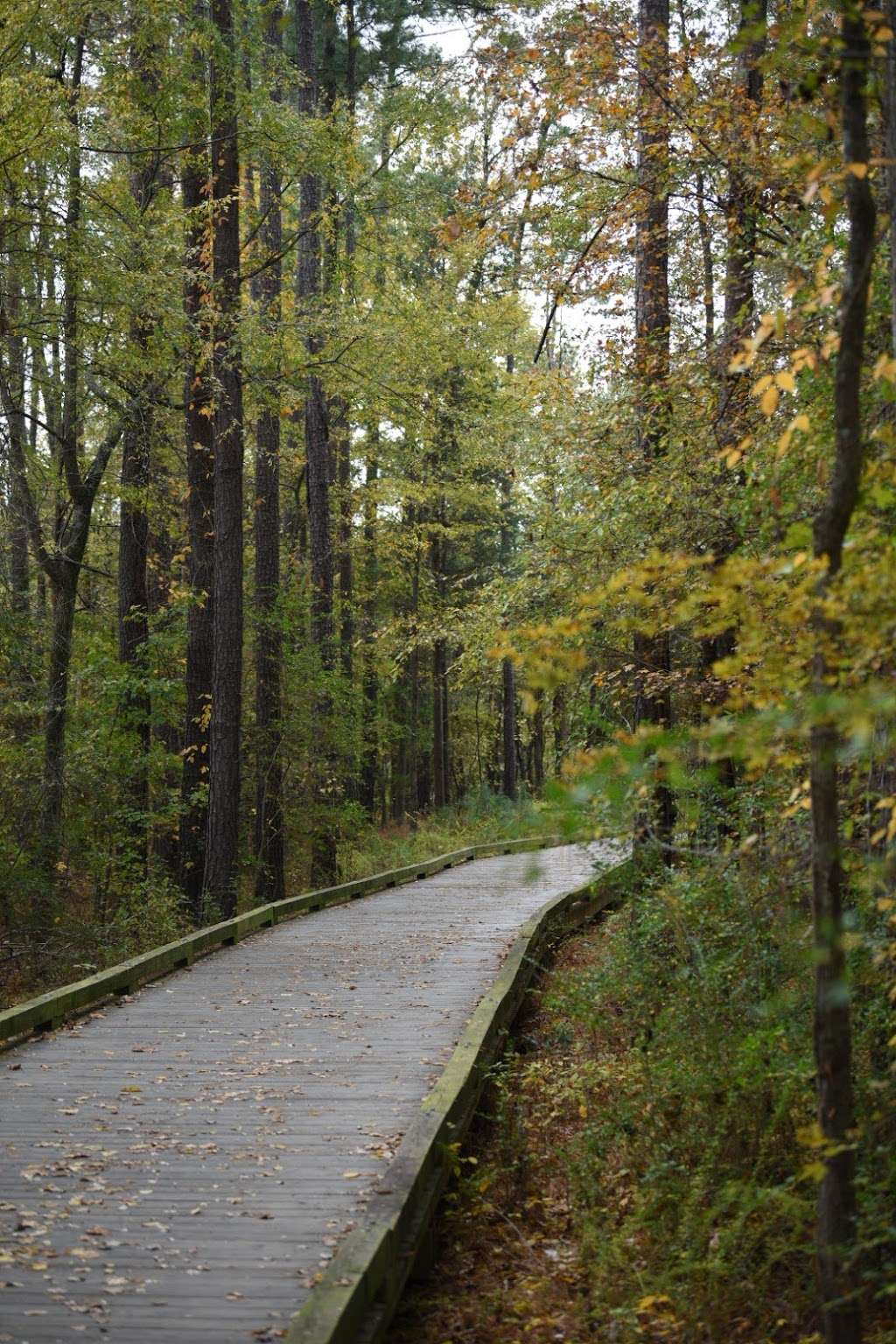 Four Mile Creek Greenway | 5803 Bevington Pl, Charlotte, NC 28277, USA | Phone: (704) 336-3854