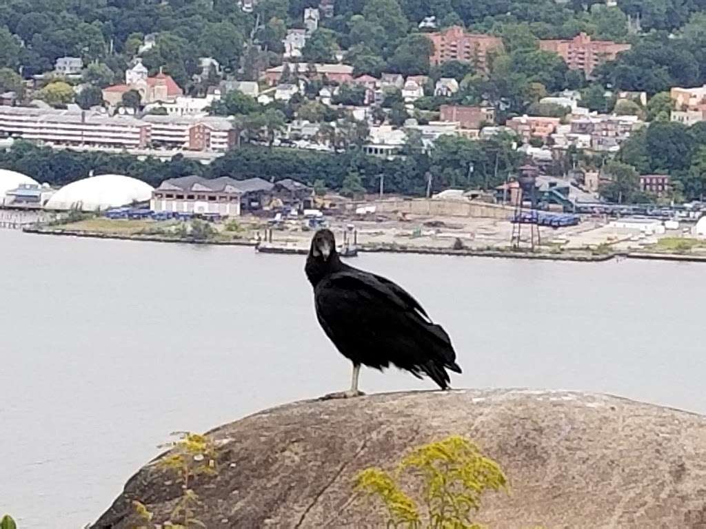 Palisades Interstate Park Commission: State Line Lookout | State Line Lookout and, Palisades Interstate Pkwy, Alpine, NJ 07620, USA | Phone: (201) 750-0465