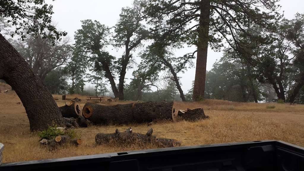 Sawmill Campground | Lake Hughes, CA 93532, USA