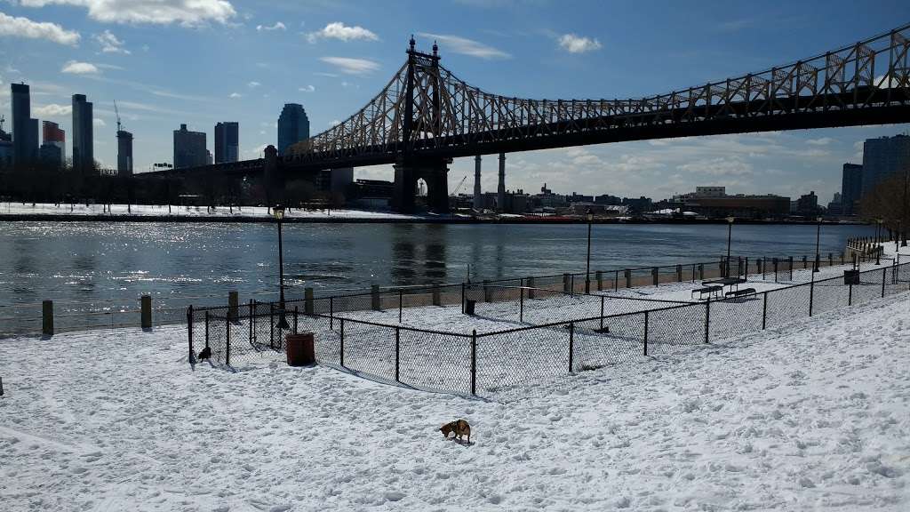 Southtown Dog Run - park  | Photo 2 of 2 | Address: New York, NY 10044, USA