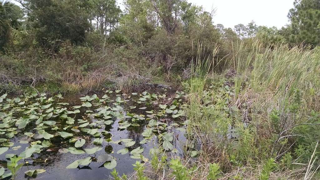 J.W. Corbett Wildlife Management Area | 11835 Seminole Pratt Whitney Rd, West Palm Beach, FL 33412, USA | Phone: (561) 625-5122