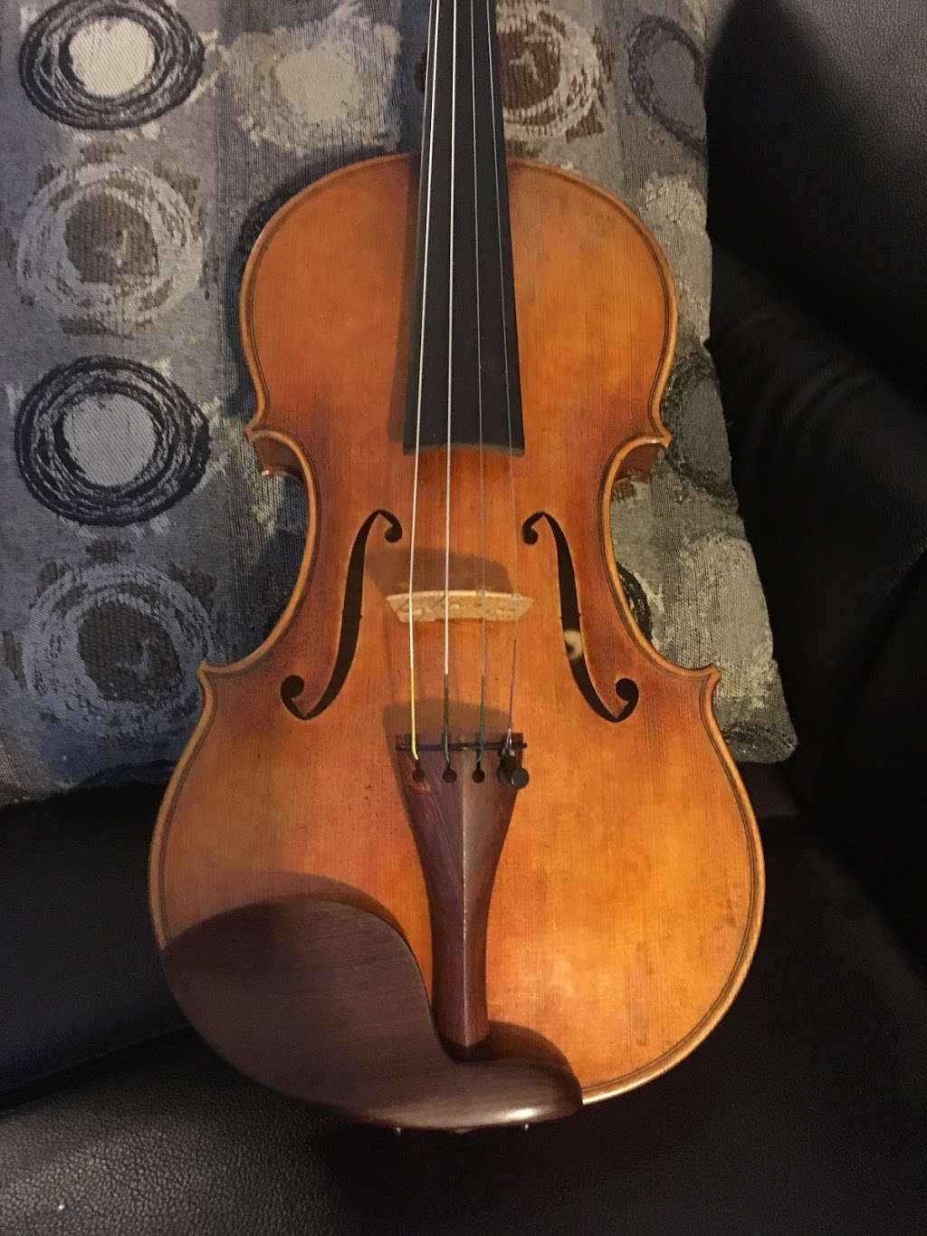 Sound and Fury Violins, LLC | 1470 S Quebec Way #28, Denver, CO 80231 | Phone: (720) 364-8669