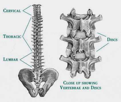 Monmouth Back and Neck Rehabilitation | 300 Craig Rd #104, Englishtown, NJ 07726, USA | Phone: (732) 780-8832