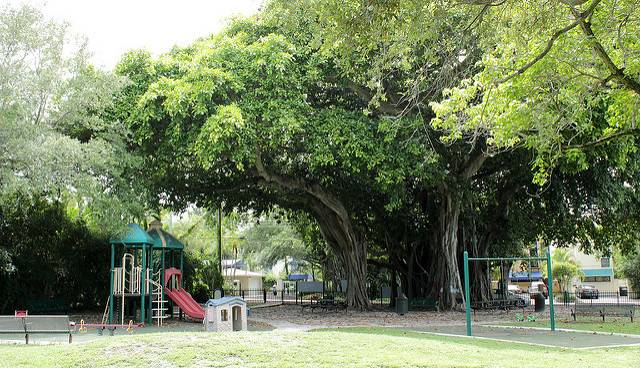 Marjory Stoneman Douglas Mini Park | Miami, FL 33133, USA