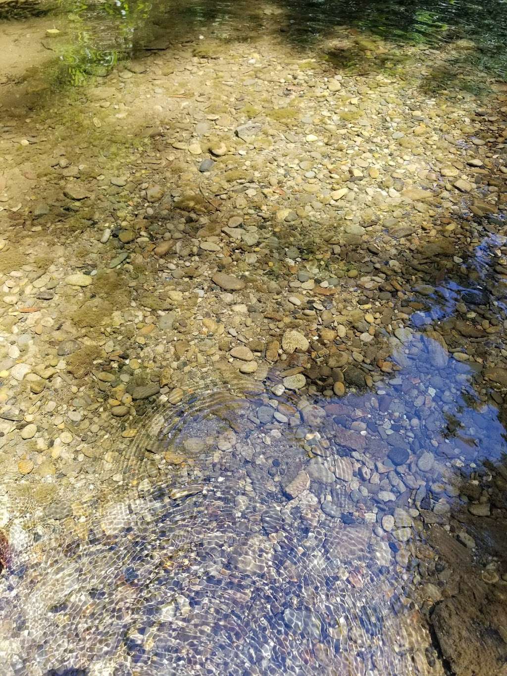 Memorial Park, Wurr Flat #2 | 9500 Pescadero Creek Rd, Loma Mar, CA 94021, USA | Phone: (650) 879-0238 Memorial Park, Wurr Flat #2 | 9500 Pescadero Creek Rd, Loma Mar, CA 94021, USA | Phone: (650) 879-0238