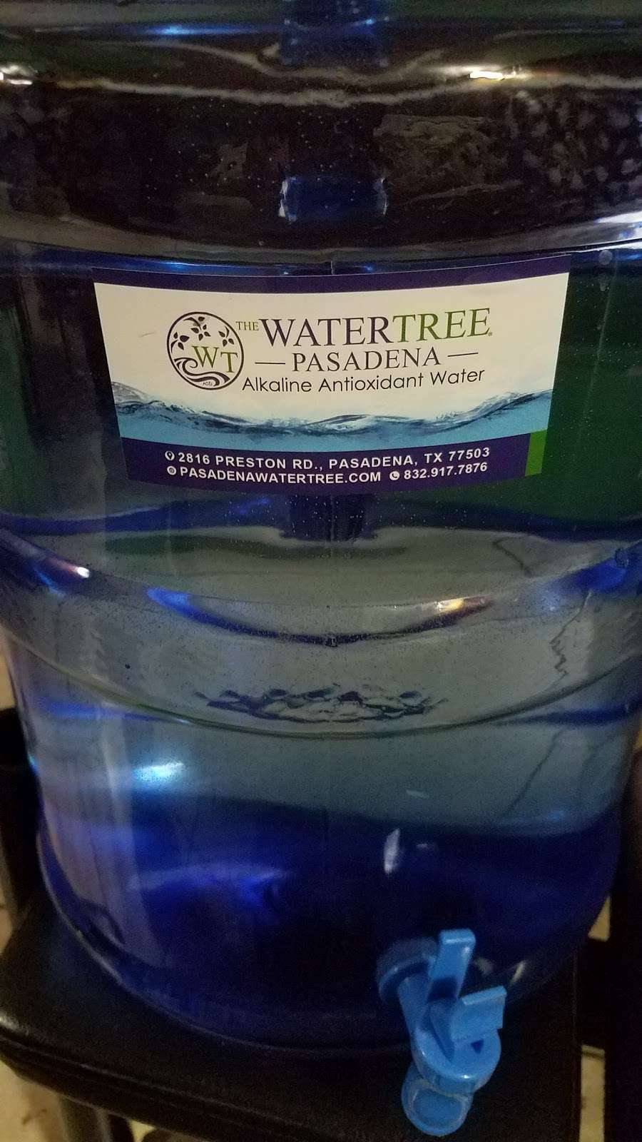 Water Tree Pasadena | 5041 Spencer Hwy Suite #601, Pasadena, TX 77505 | Phone: (832) 917-7876