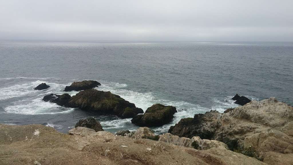 Bodega Marine Reserve | 2099 Westside Road, Bodega Bay, CA 94923, USA | Phone: (707) 875-2021