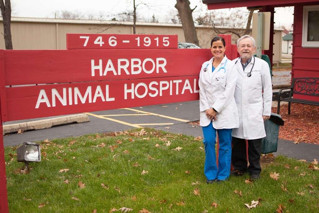 Harbor Animal Hospital | 1915 9th St, Winthrop Harbor, IL 60096, USA | Phone: (847) 746-1915