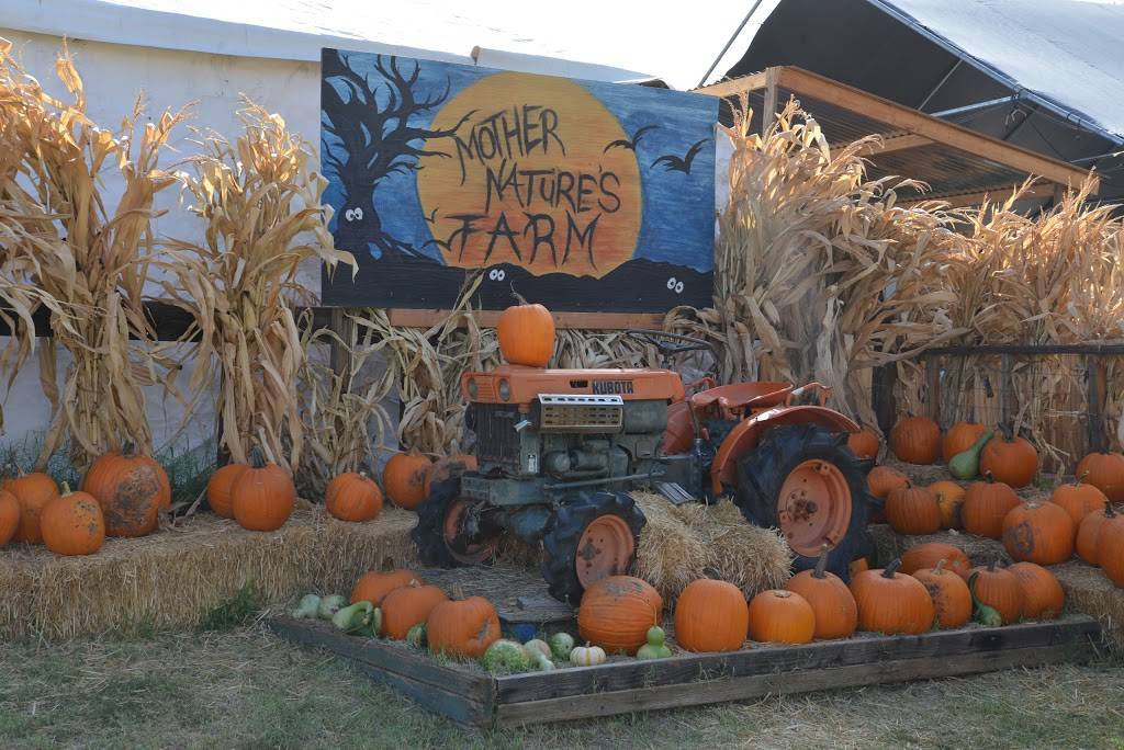 Mother Natures Farm | 1663 E Baseline Rd, Gilbert, AZ 85233, USA | Phone: (480) 892-5874