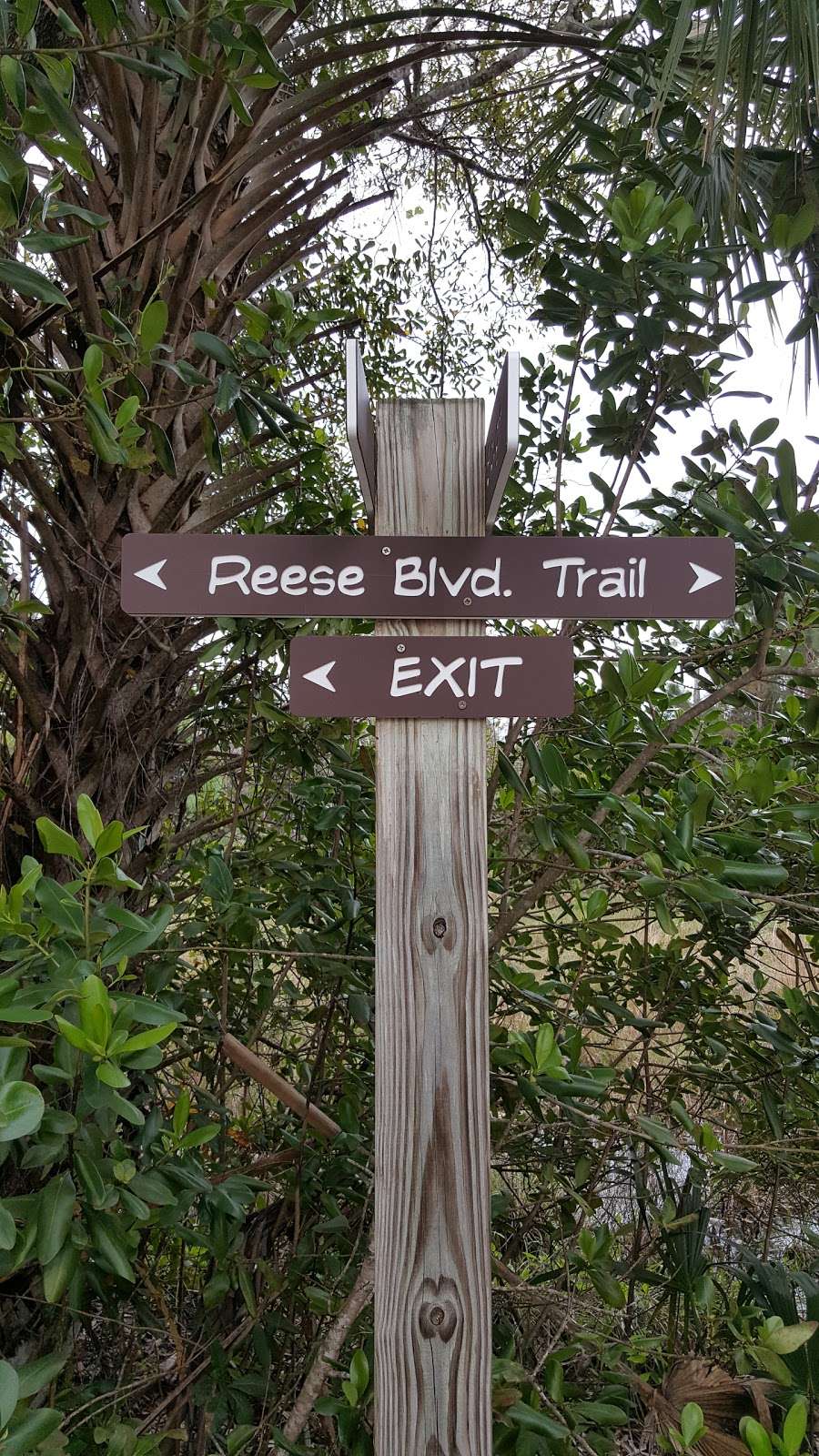 Reese Blvd | Reese Trail, Jupiter, FL 33478, USA