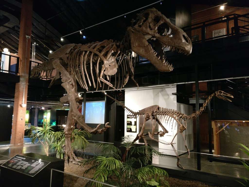 Houston Museum of Natural Science at Sugar Land | 13016 University Blvd, Sugar Land, TX 77479, USA | Phone: (281) 313-2277