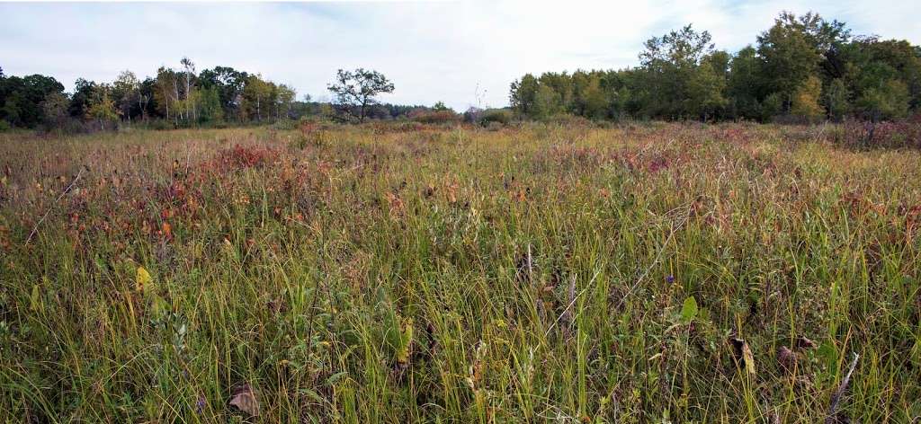 Genesee Oak Opening and Fen State Natural Area | W1969 Its a Little Rd, Mukwonago, WI 53149 | Phone: (608) 266-0394