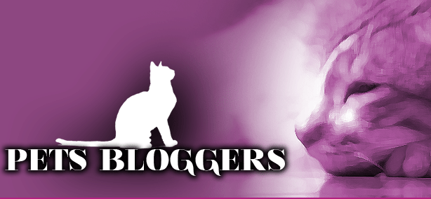 Pets Bloggers | 2118 Opal Dr, Orlando, FL 32822, USA | Phone: (407) 277-0547