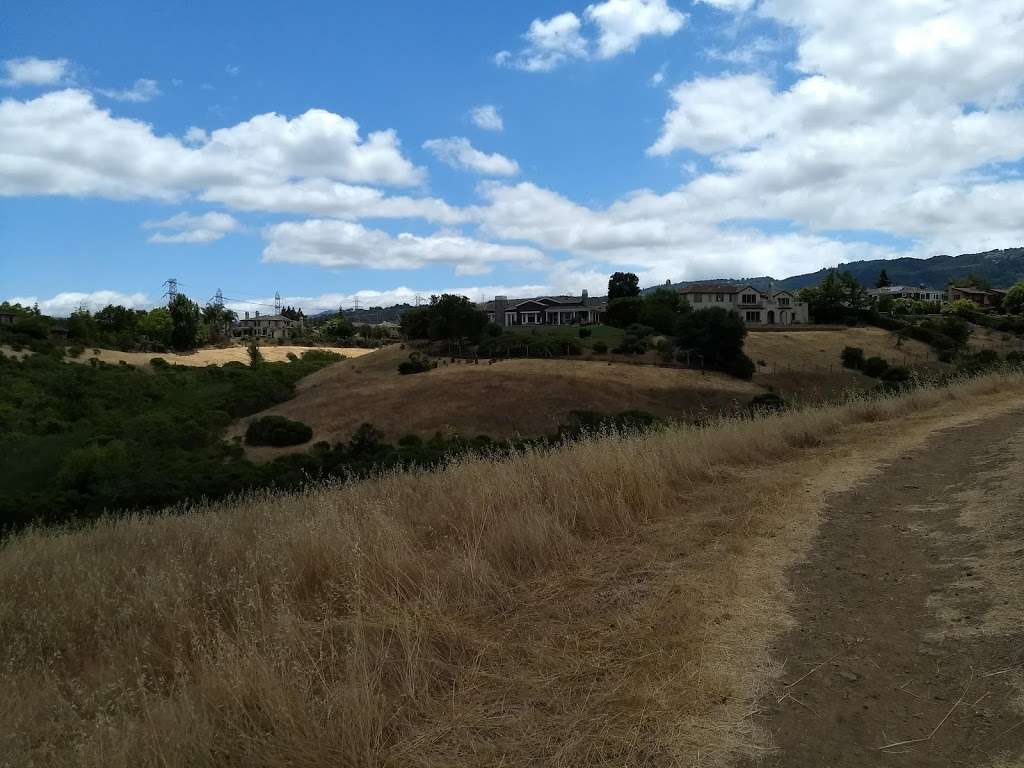 Black Mountain Trail | Cristo Rey Dr, Los Altos, CA 94024, USA