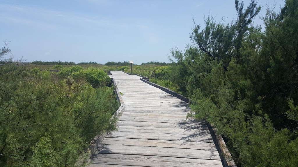 Kelly Hamby Nature Trail | 12083-12135 Bluewater Hwy, Freeport, TX 77541, USA