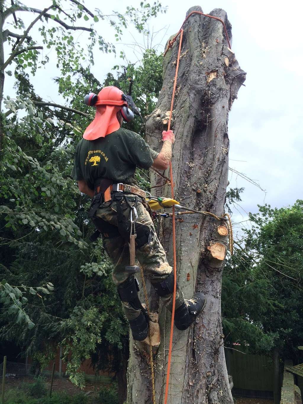 GTF Tree Care | 28 Pike Way, North Weald Bassett, Epping CM16 6BL, UK | Phone: 01992 524333