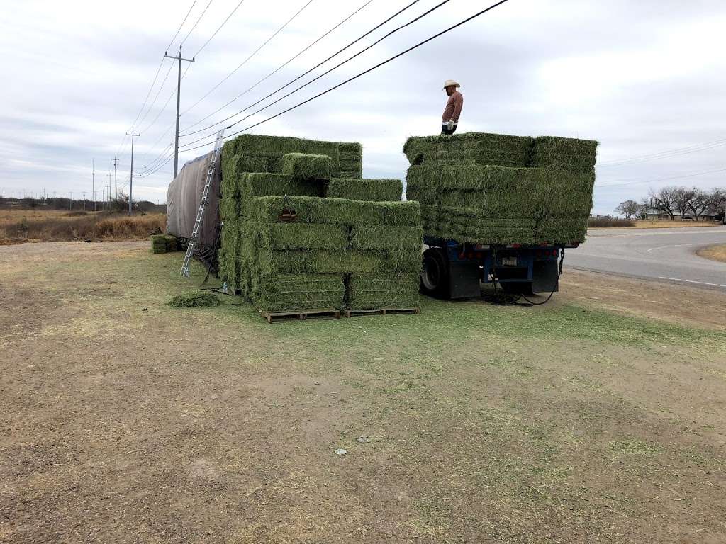 My Farm “El Güero” hay sale | 3650 TX-1604 Loop, San Antonio, TX 78264 | Phone: (432) 235-4227