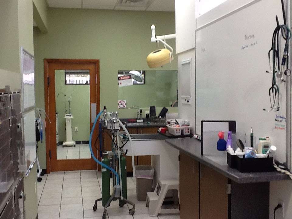 Oxford Animal Hospital | 13433 Switzer Rd, Overland Park, KS 66213, USA | Phone: (913) 681-2600