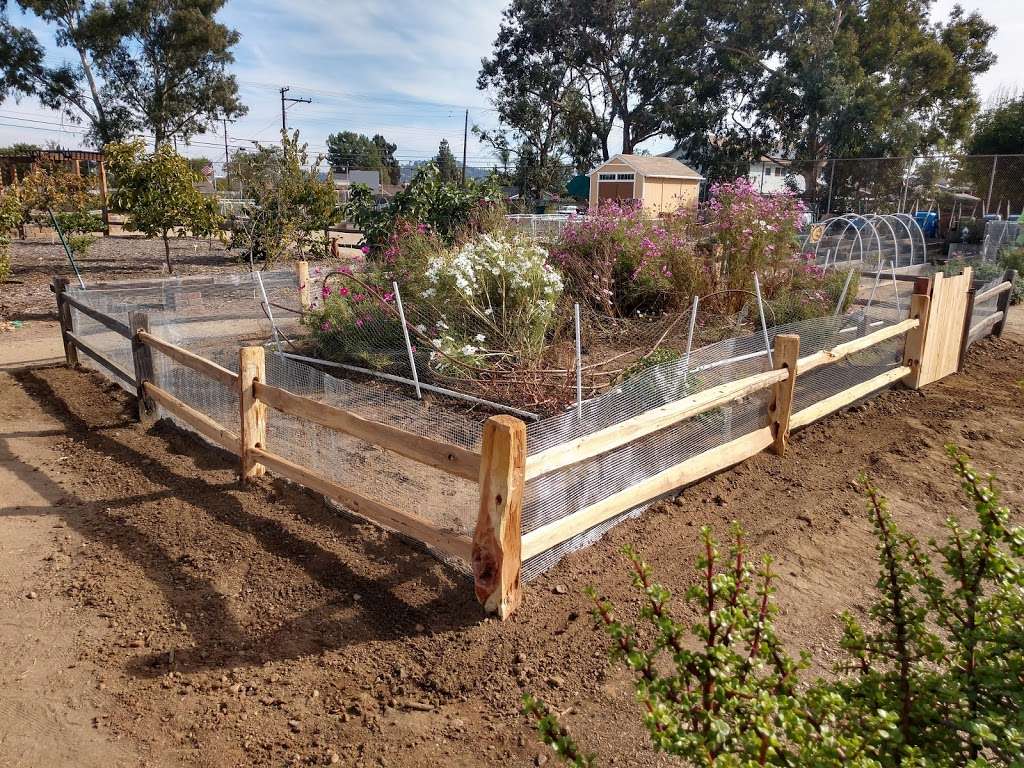 San Carlos Community Garden | 6460 Boulder Lake Ave, San Diego, CA 92119, USA