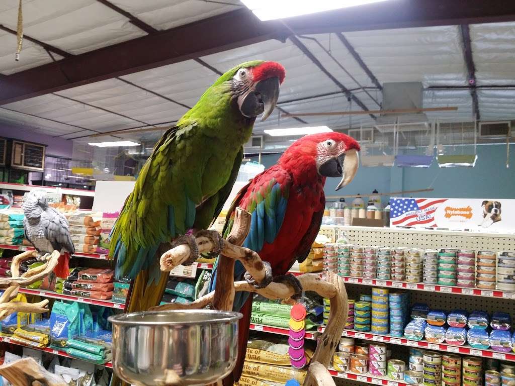 Pratts Pets - El Mirage | 11717 NW Grand Ave, El Mirage, AZ 85335 | Phone: (623) 544-1544