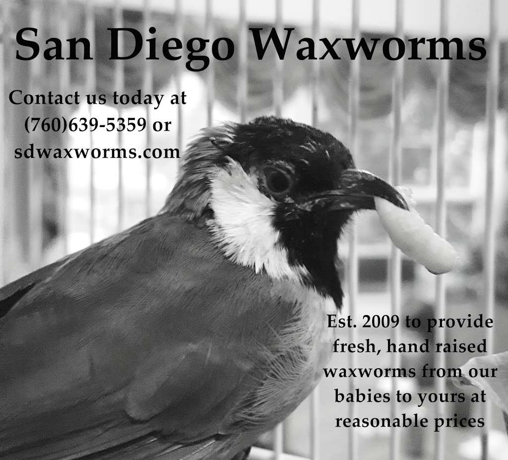 San Diego Waxworms | 451 Mason Rd, Vista, CA 92084, USA | Phone: (760) 639-5359