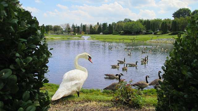 Lakemont Memorial Gardens | 900 W Central Ave, Davidsonville, MD 21035, USA | Phone: (410) 269-0514