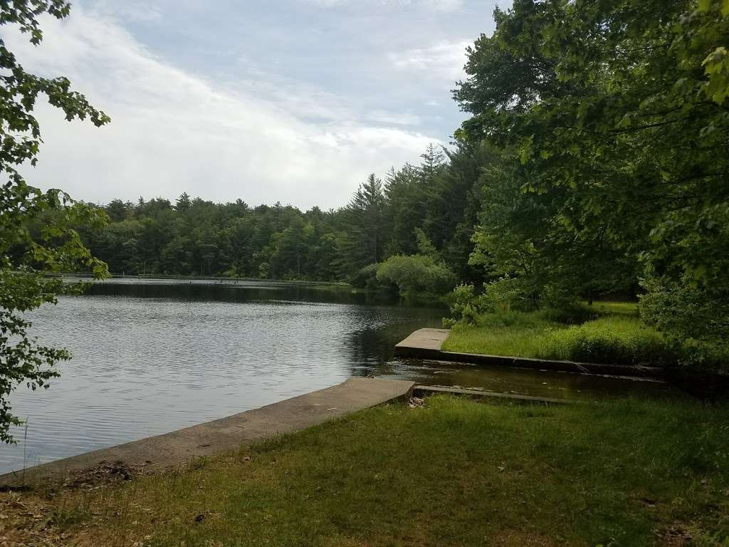 Hickok Brook Multiple Use Area | Barker Rd, Eldred, NY 12732, USA | Phone: (845) 256-3000