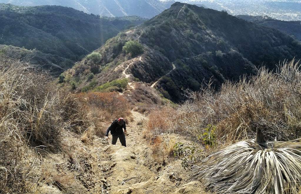 Top of Punk Out Trail | Lower Monroe Rd, Glendora, CA 91741, USA