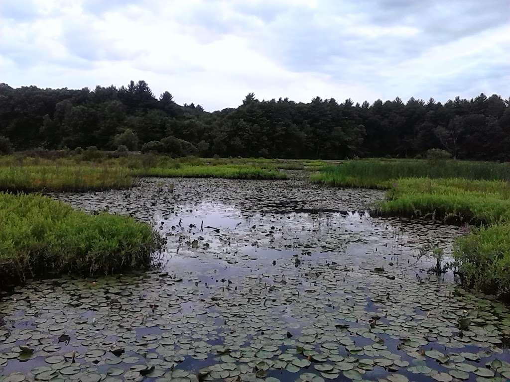 The Nature Trail and Cranberry Bog | 252 Patriot Pl, Foxborough, MA 02035, USA