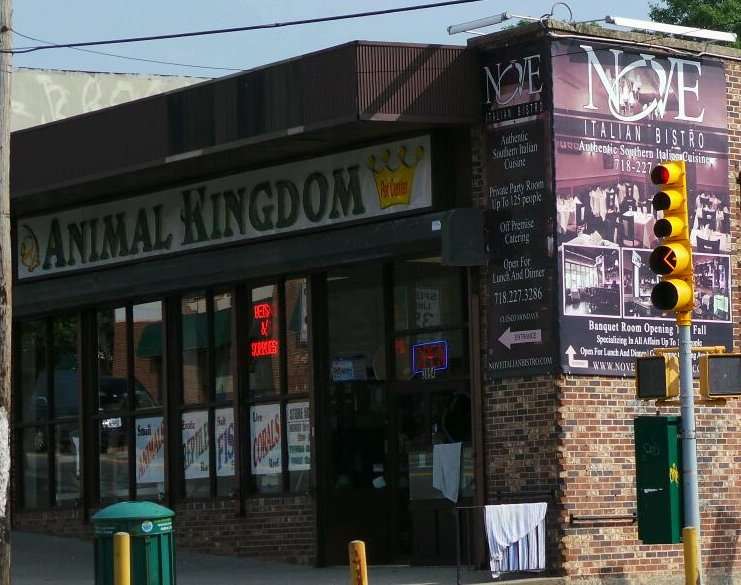 Animal Kingdom | 1547 Arthur Kill Rd, Staten Island, NY 10312, USA | Phone: (718) 227-9453