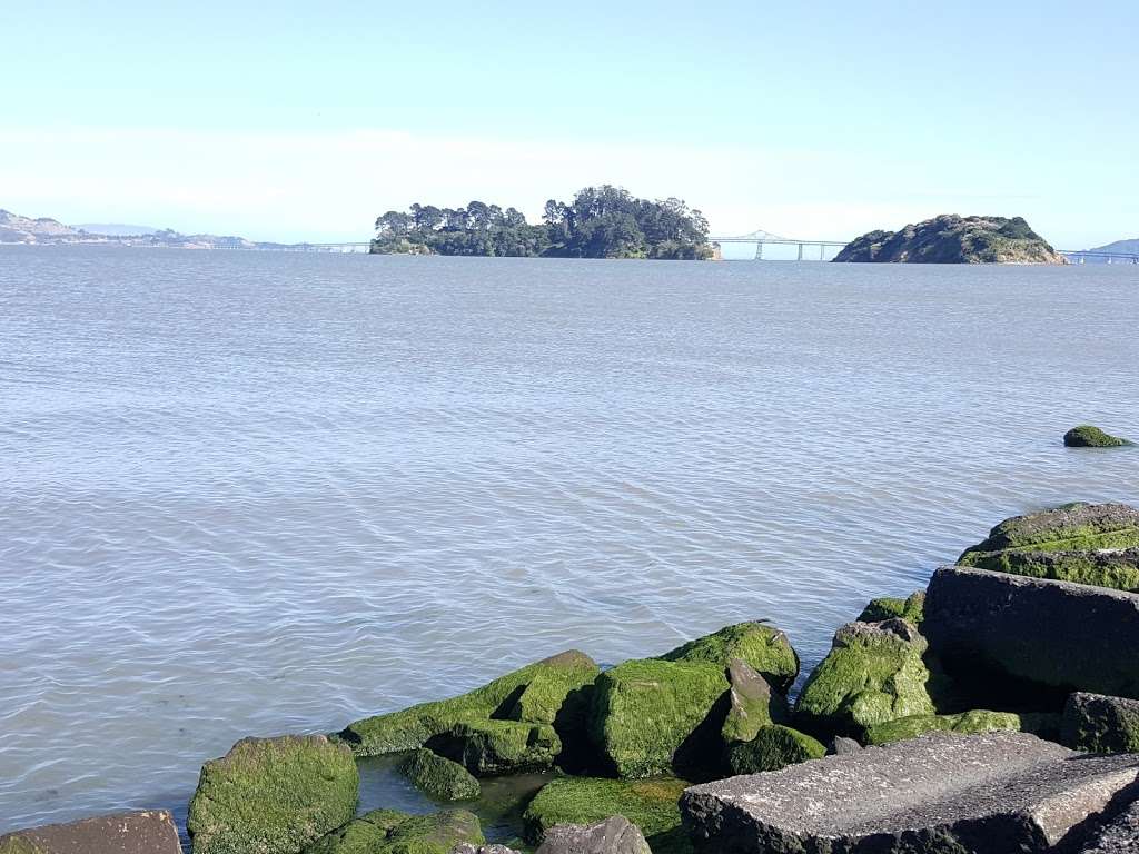 Marin Island National Wildlife Refuge | San Rafael, CA 94901