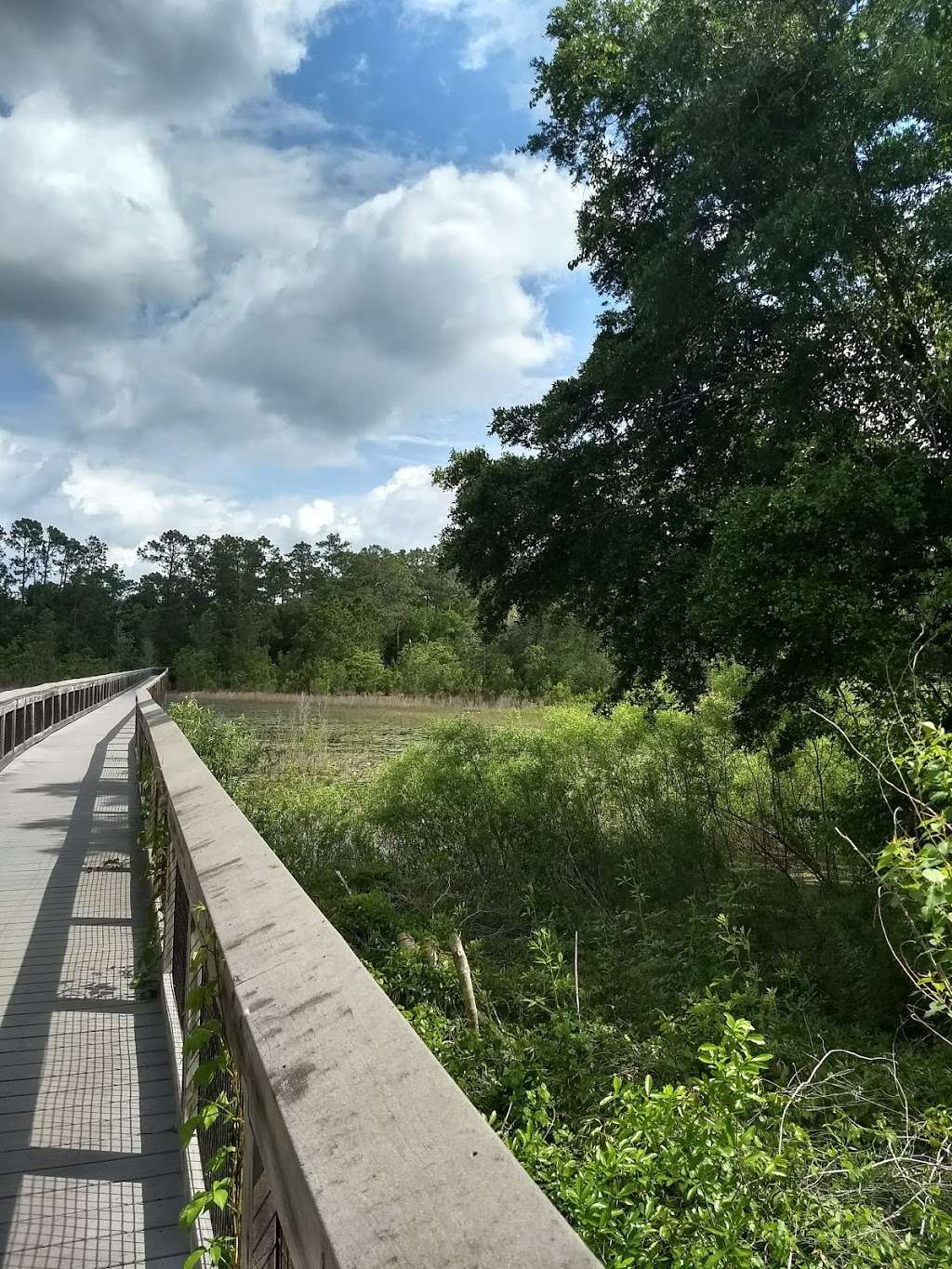 Forest Public Library | 905 S HWY, Ocklawaha, County Rd 314 A, Ocklawaha, FL 32179 | Phone: (352) 438-2540