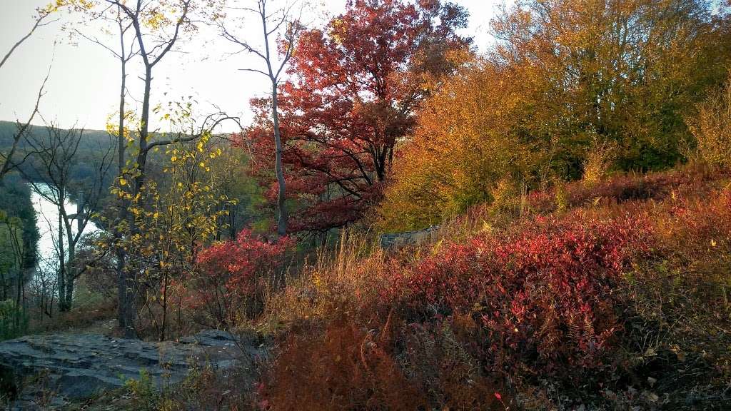 FIRELINE TRAIL (HICKORY RUN) | PA-534, White Haven, PA 18661, USA