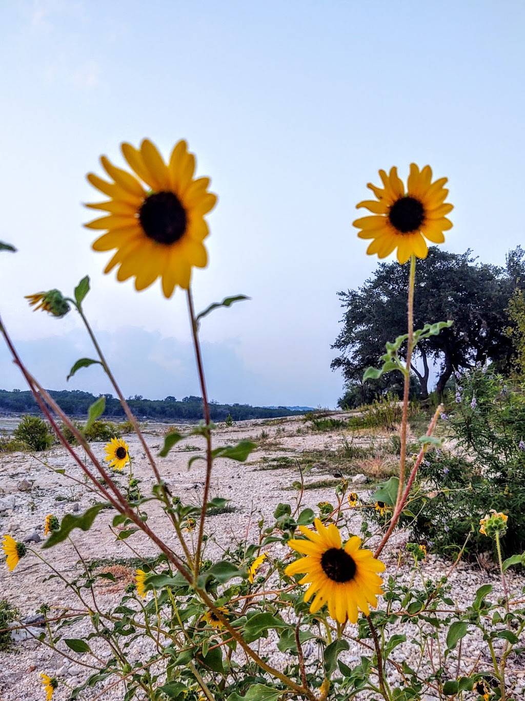 Arkansas Bend Park | 16900 Cherry Ln, Lago Vista, TX 78645, USA | Phone: (512) 854-7275