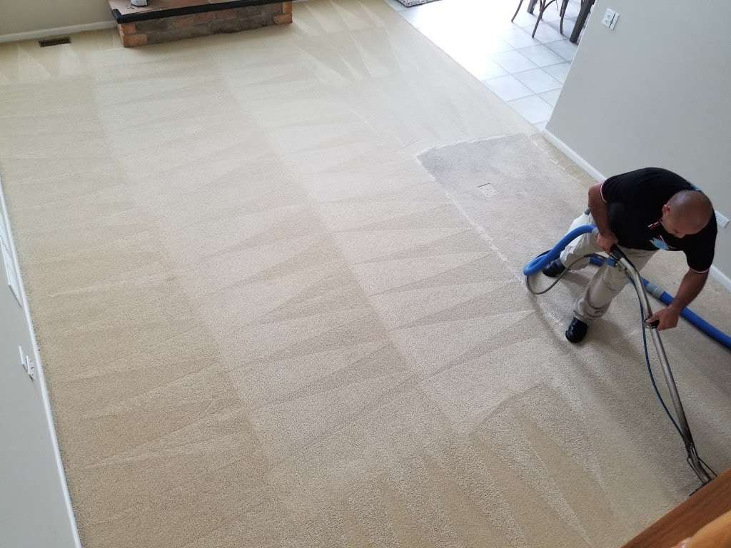 New Dawn Carpet Cleaning | 1526 S Austin Blvd, Cicero, IL 60804, USA | Phone: (708) 263-7838