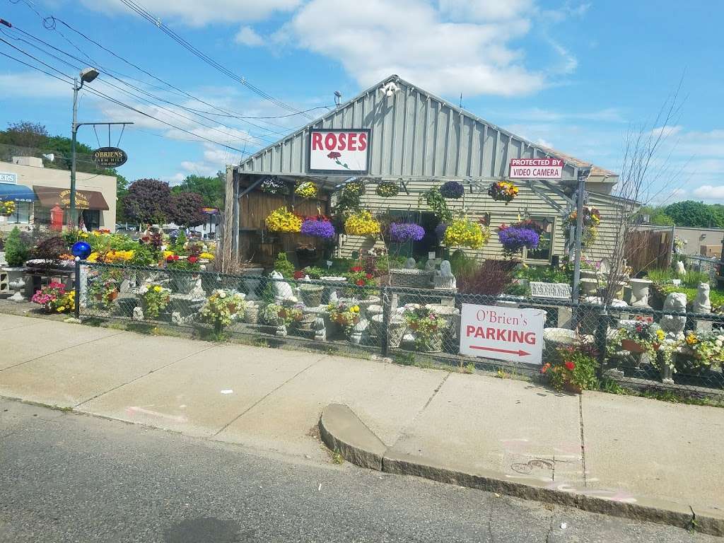 OBriens Farm Hill Florist & Garden Center | 224 Main St, Stoneham, MA 02180 | Phone: (781) 438-4564