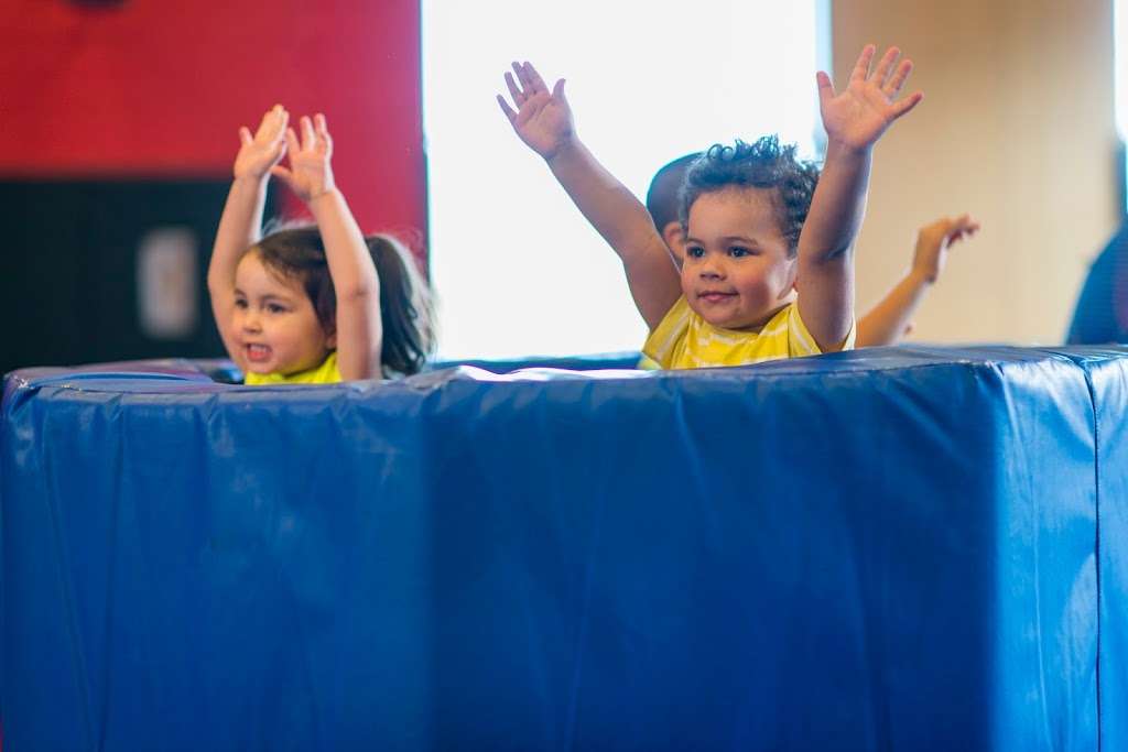 Ta Da Gymnastics Studio | 4433 W 29th Ave Ste 103, Denver, CO 80212 | Phone: (720) 772-8232