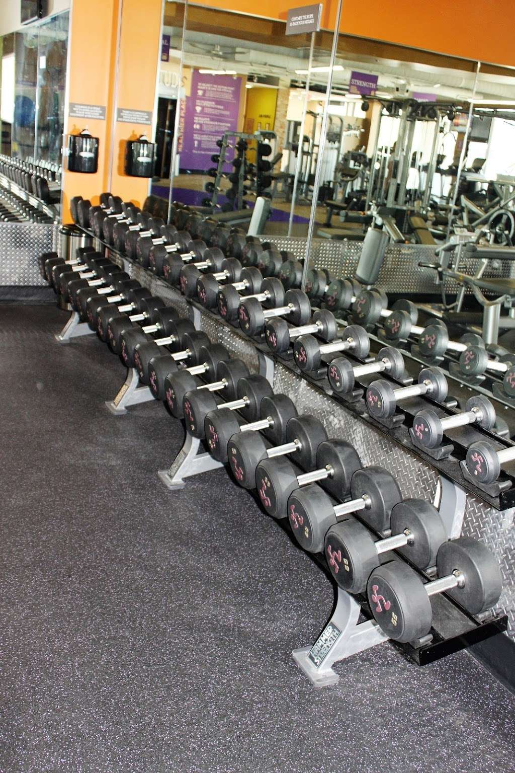 Anytime Fitness | 3256 Kirchoff Rd, Rolling Meadows, IL 60008 | Phone: (847) 957-1496