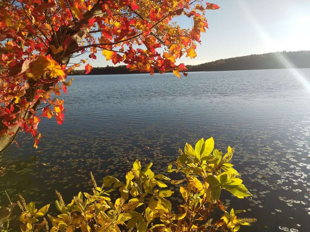 Lake chauncy trail head | Westborough, MA 01581, USA