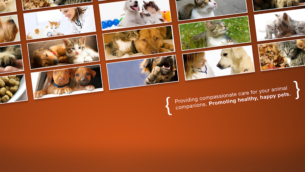East Valley Emergency Pet Clinic | 938 N Diamond Bar Blvd, Diamond Bar, CA 91765, USA | Phone: (909) 861-5737