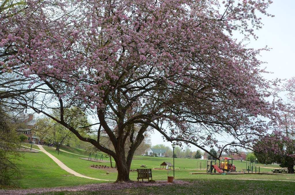 Sandy Spring Friends School | 16923 Norwood Rd, Sandy Spring, MD 20860, USA | Phone: (301) 774-7455