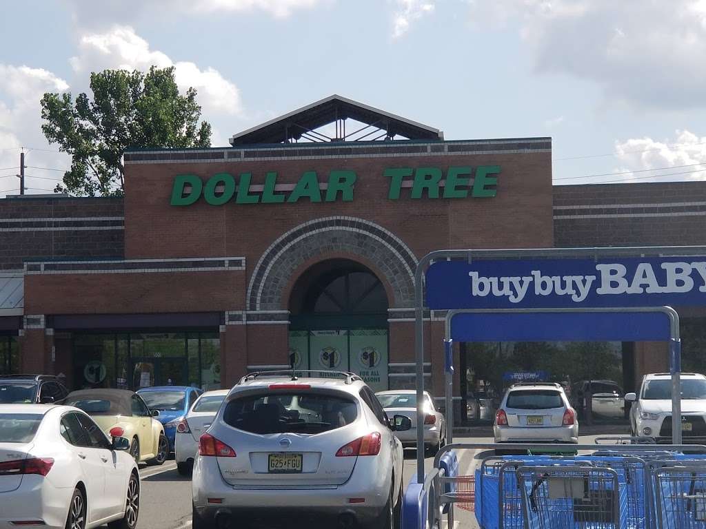 Dollar Tree | 501 Nassau Park Blvd, Princeton, NJ 08540, USA | Phone: (609) 452-6034