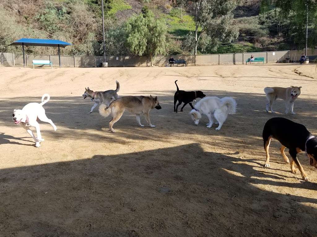 Boneyard Dog Park | Duquesne Ave, Culver City, CA 90230, USA | Phone: (310) 390-9114