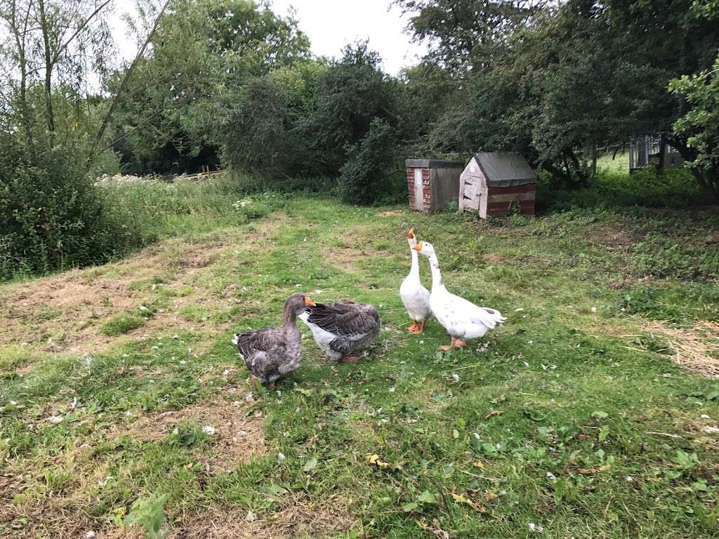 Lambourne End Centre for Outdoor Learning | Manor Rd, Lambourne End RM4 1NB, UK | Phone: 020 8500 3047